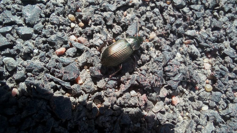 Photograph by Ольга Каковкина