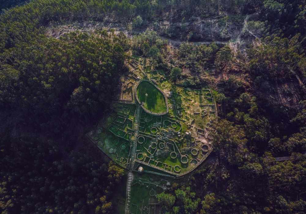 Photograph by Joao Pacheco