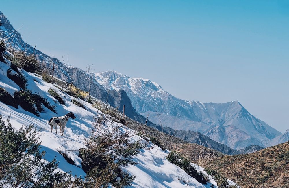 Photograph by Amar Chahin