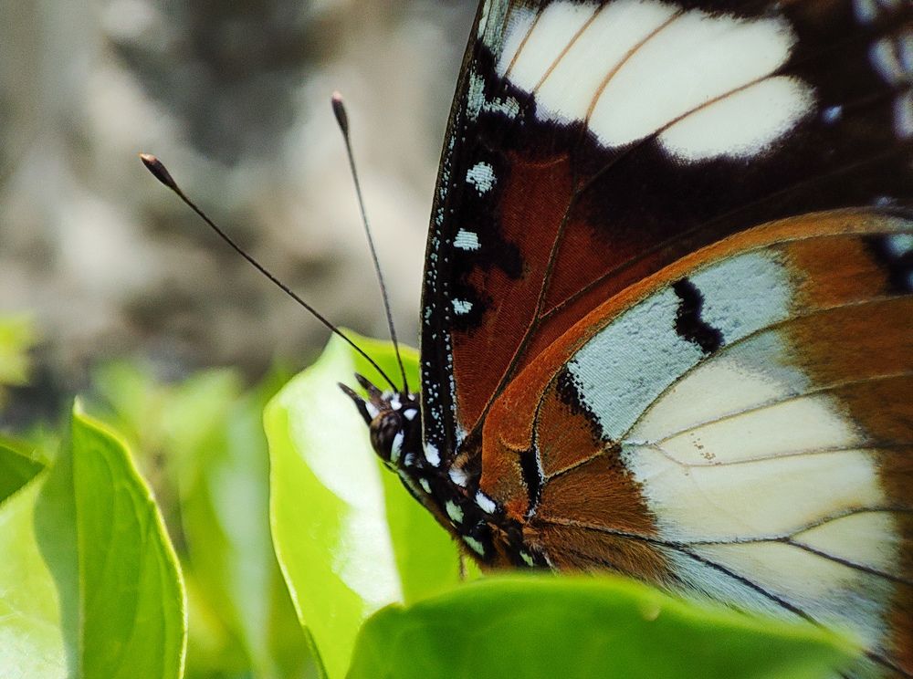 Фотография автора Thomas Engida