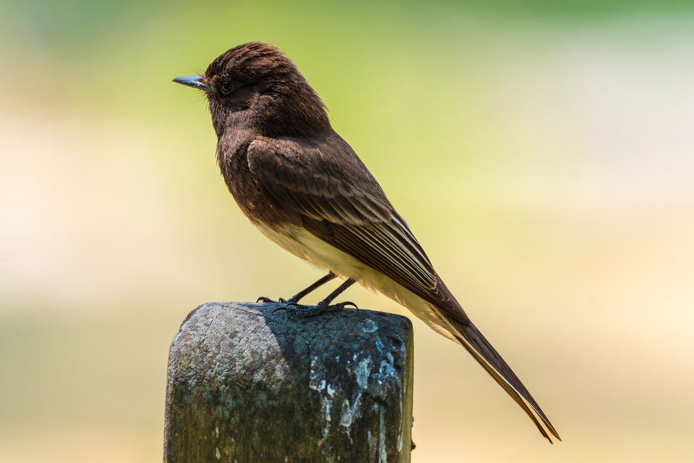 Photograph by RyanCarterMedia