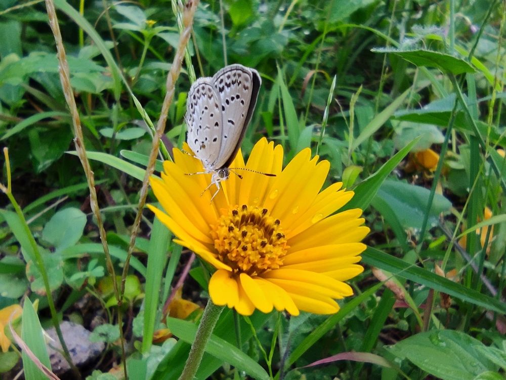 Photograph by JONATHAN VALDEZ