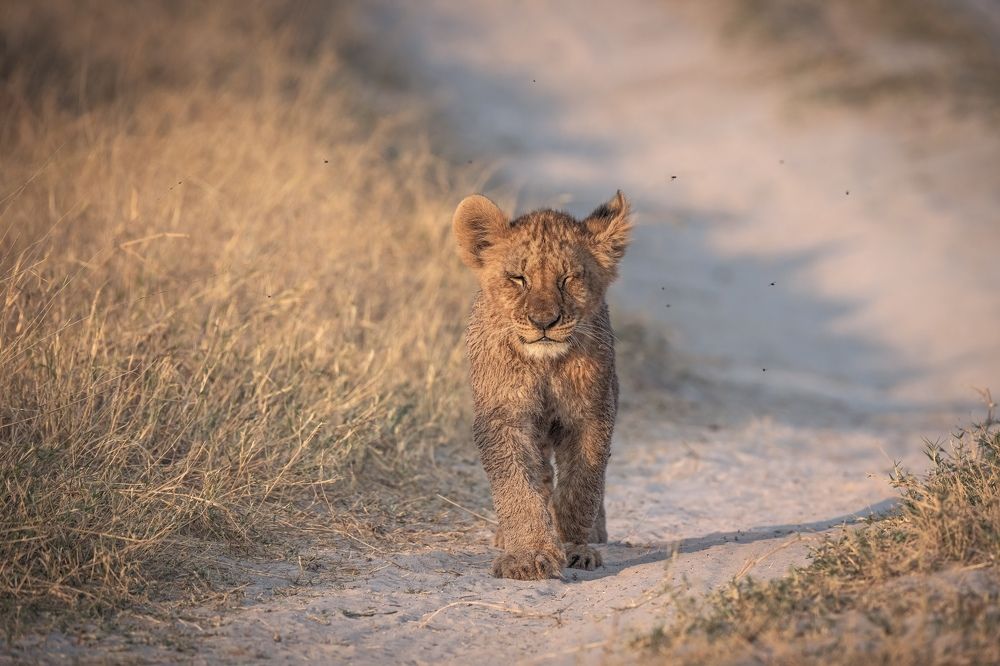 Photograph by Merche Llobera