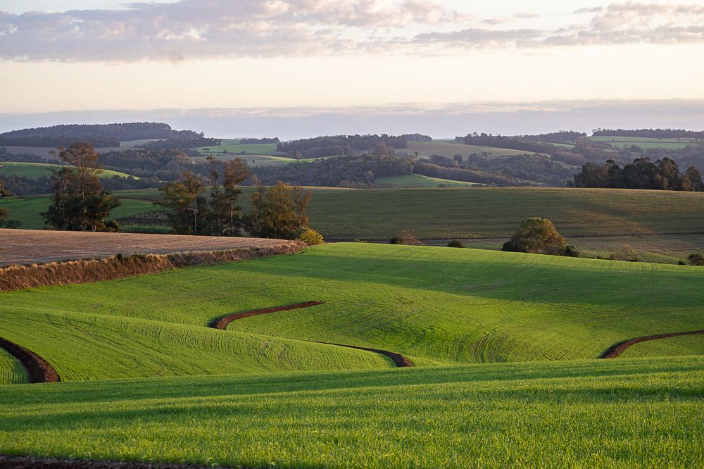 Фотография автора Maichel de Paula