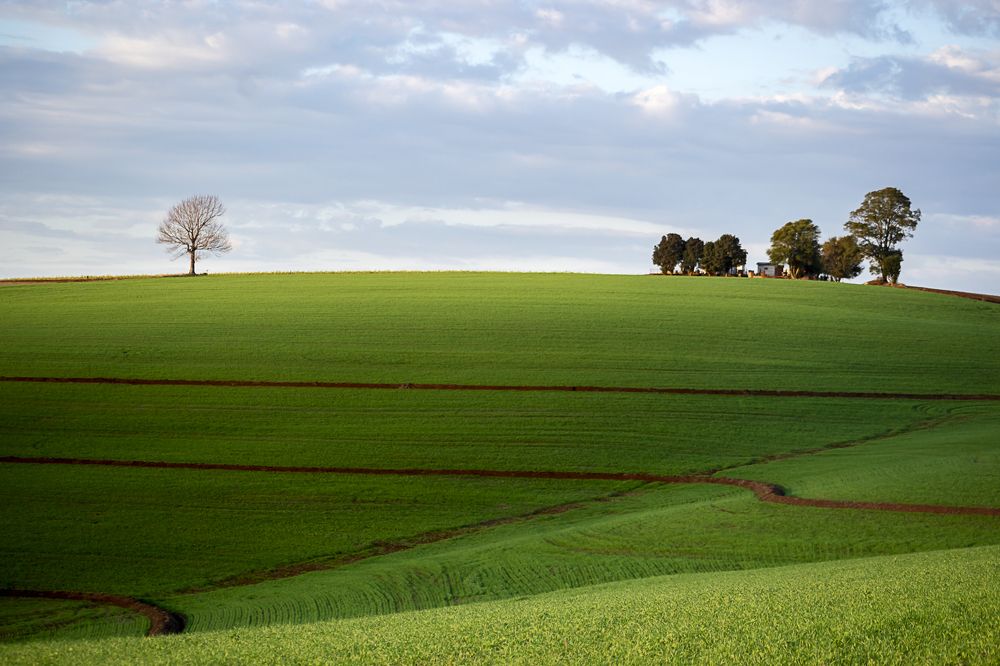 Фотография автора Maichel de Paula
