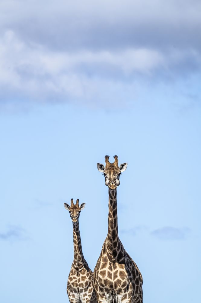 Photograph by Merche Llobera