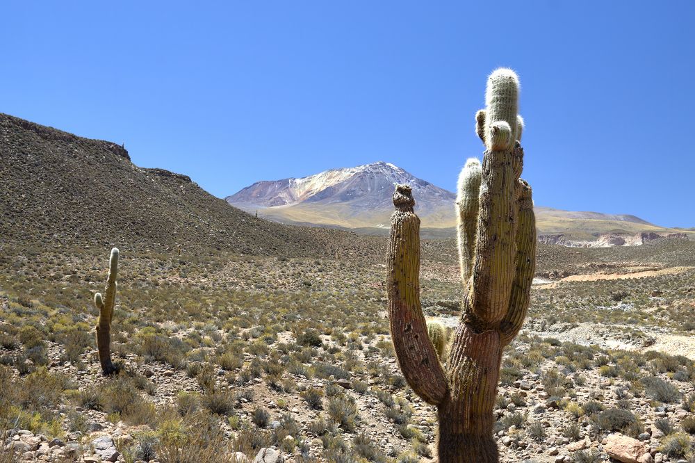 Photograph by Ivan Cortes