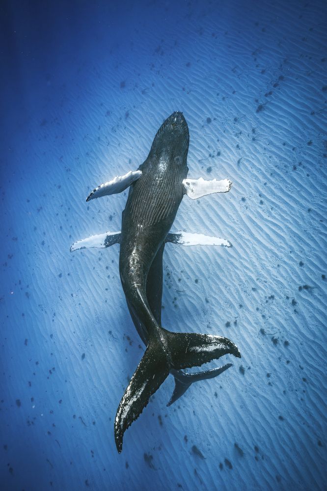 Photograph by Merche Llobera