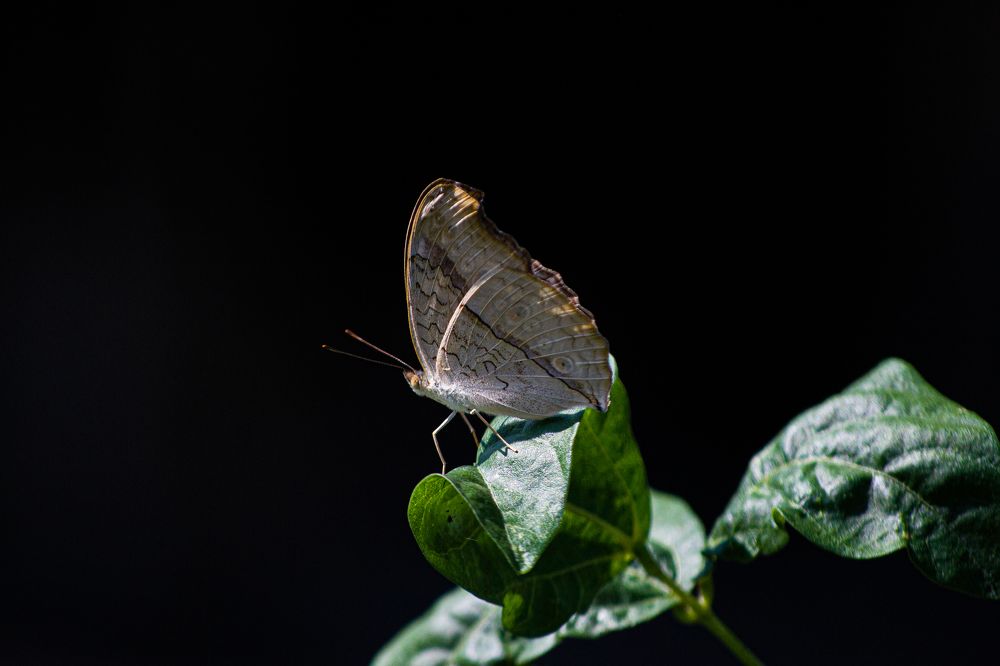 Photograph by Htet Myat Soe