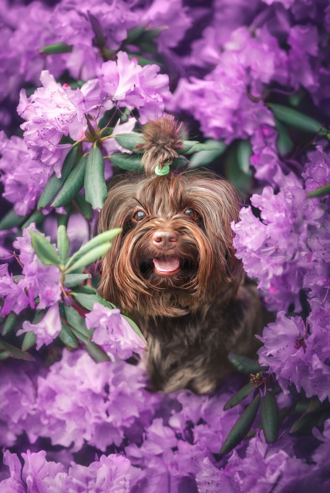 Фотография автора Eugenia Tuzova