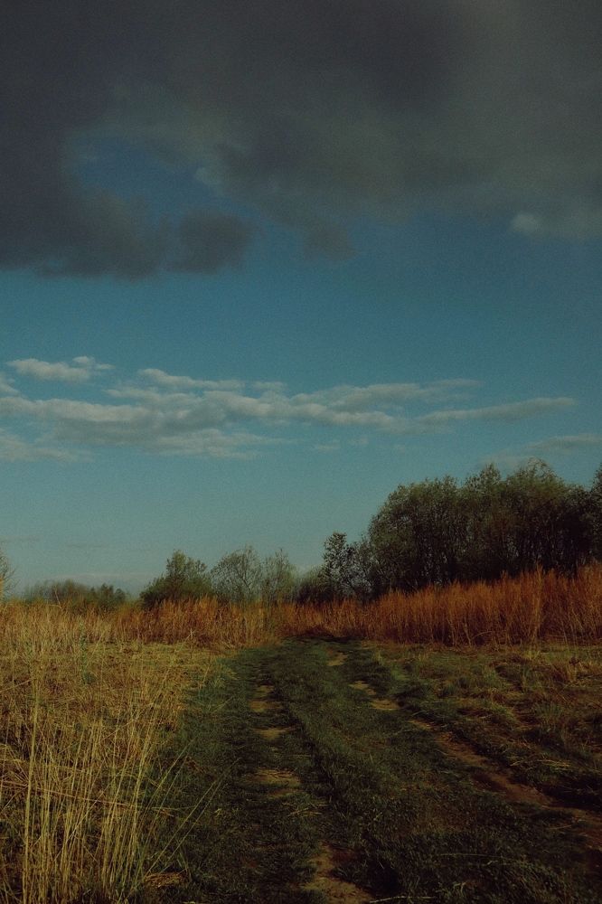 Photograph by Анастасия Николаева