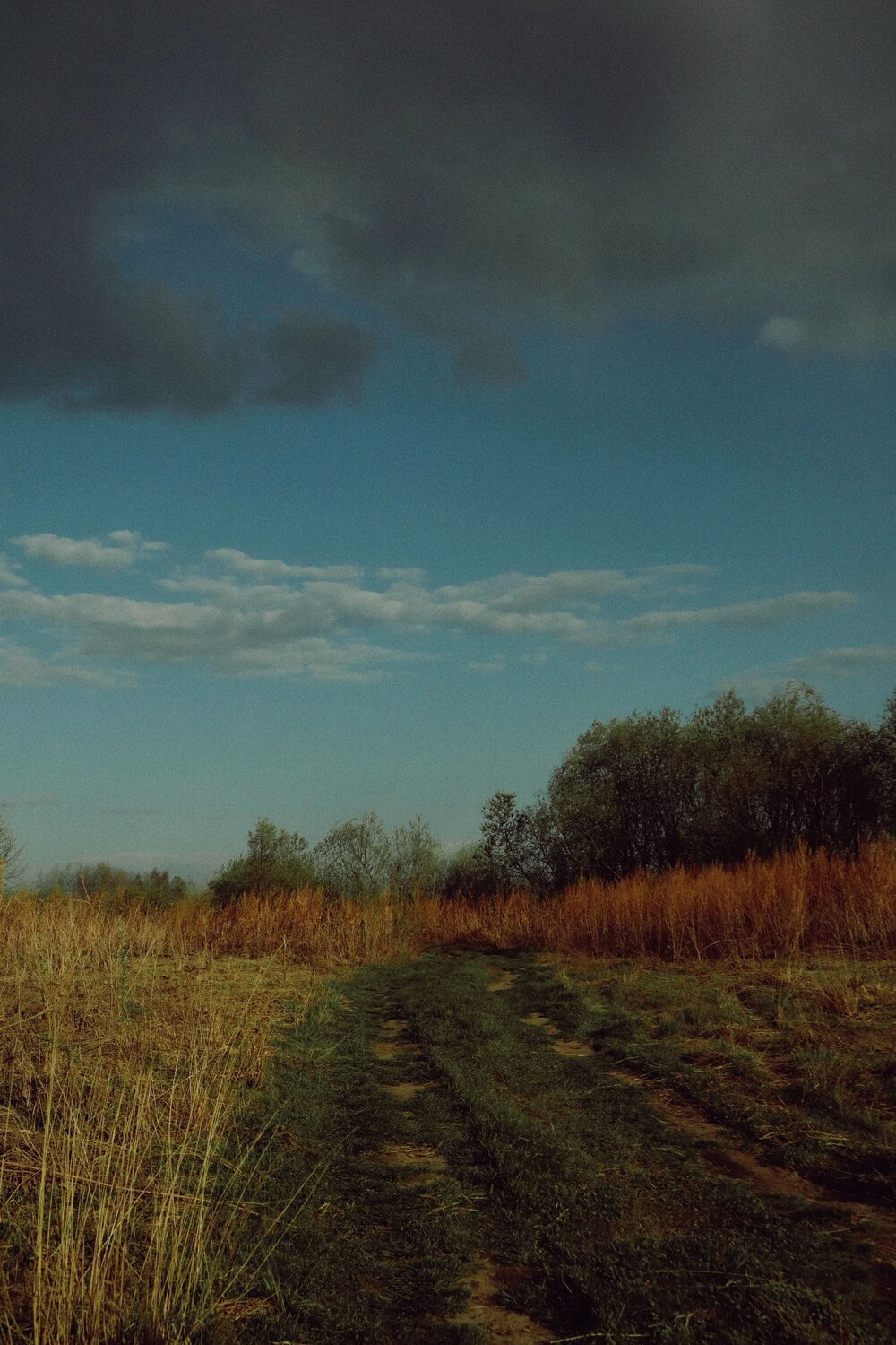 Photo #9208611