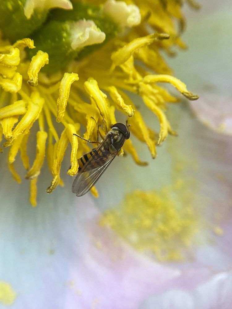 Photograph by Наталья Сенотрусова