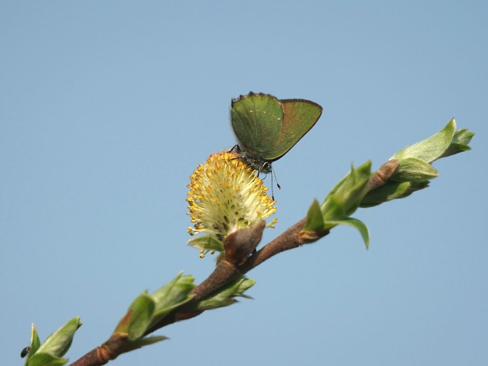 Photograph by Александр Клюев