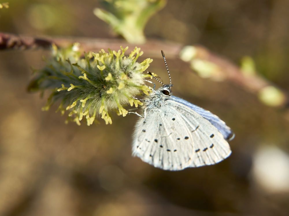 Photograph by Александр Клюев