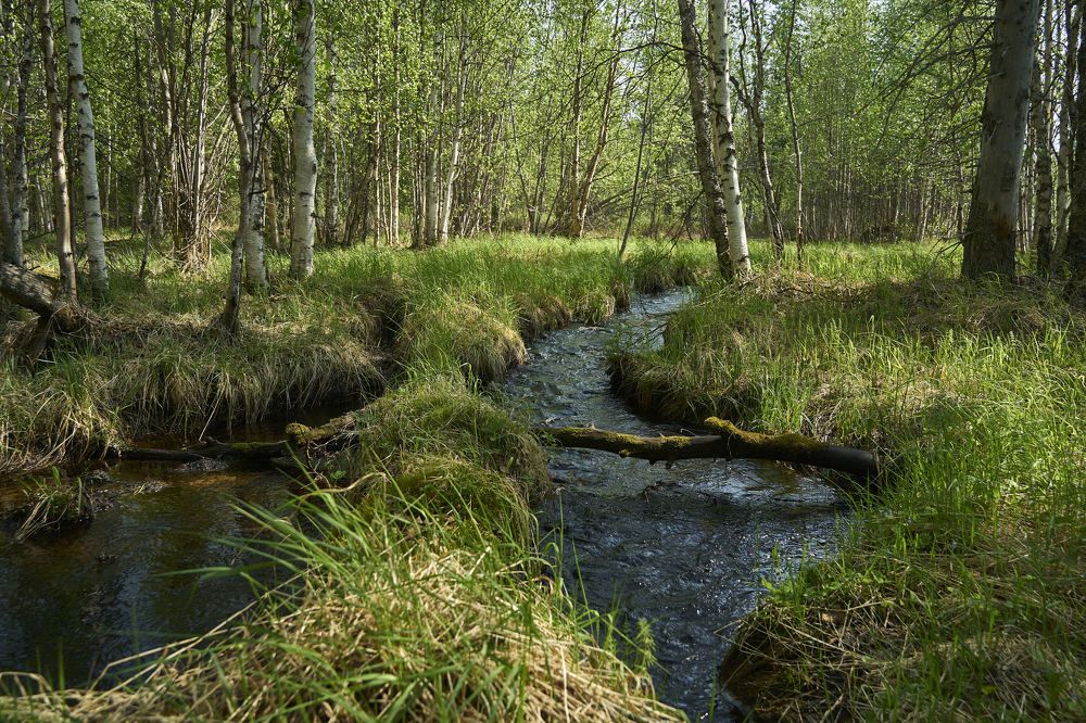 Photograph by Александр Клюев