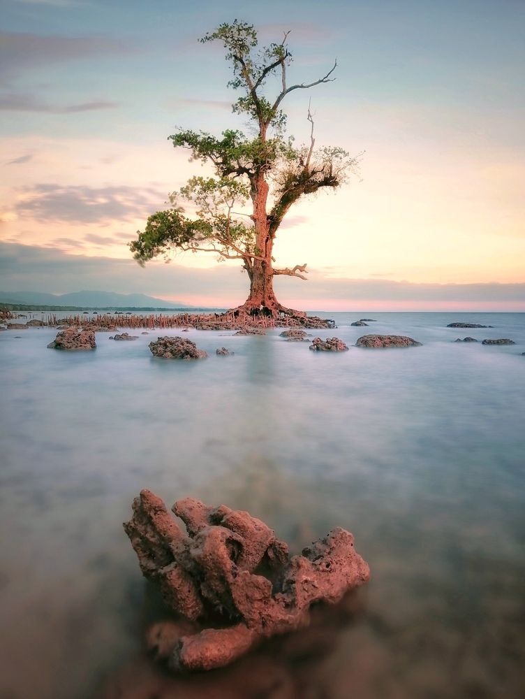 Photograph by Danny Boy Basaya