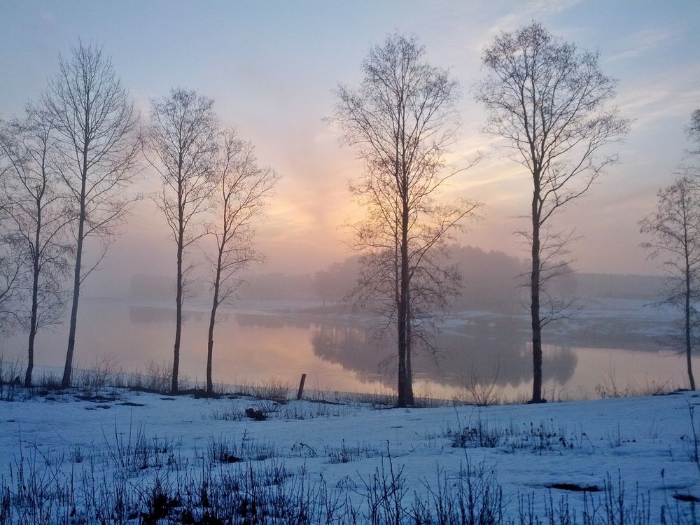 Photo #9208690