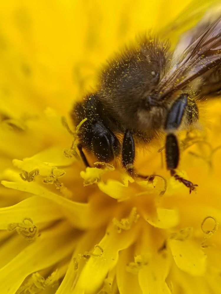 Photograph by Наталья Сенотрусова