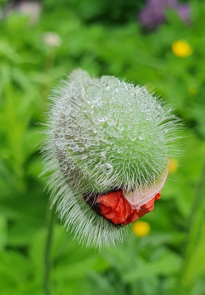 Photograph by Жанна Регор