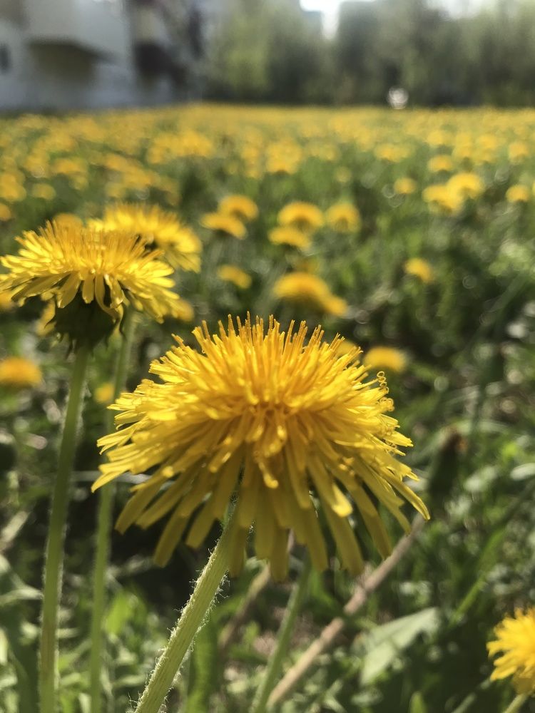 Photograph by Елена