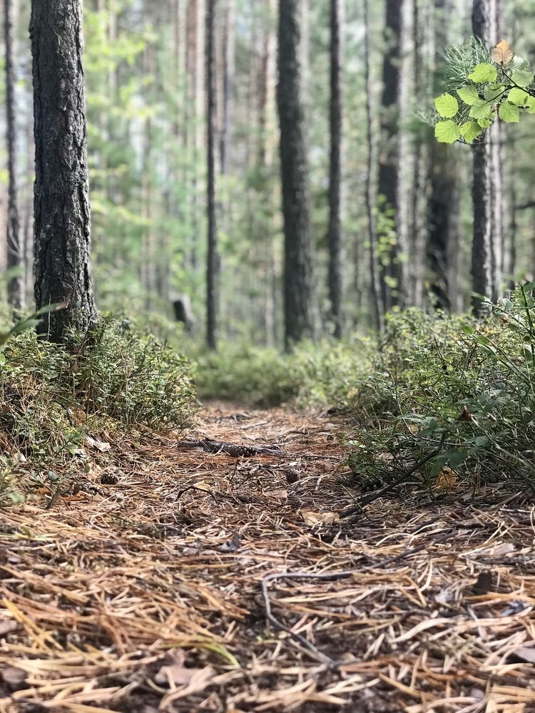 Photograph by Елена