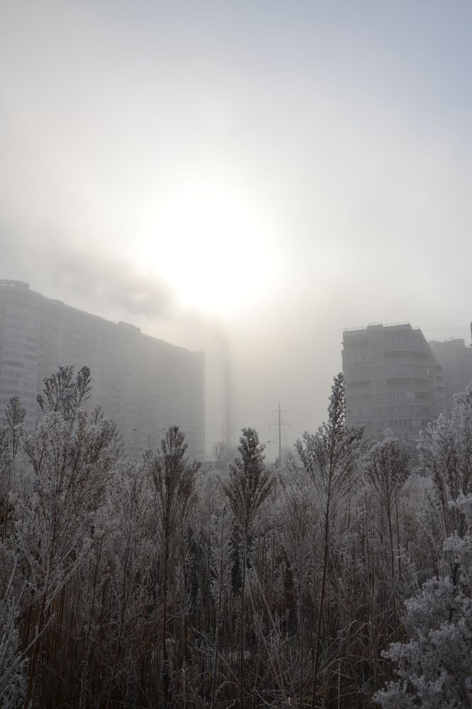 Photograph by Андрей Звездов