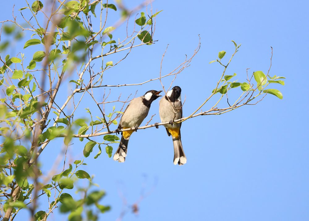 Photograph by Seeja Sadath