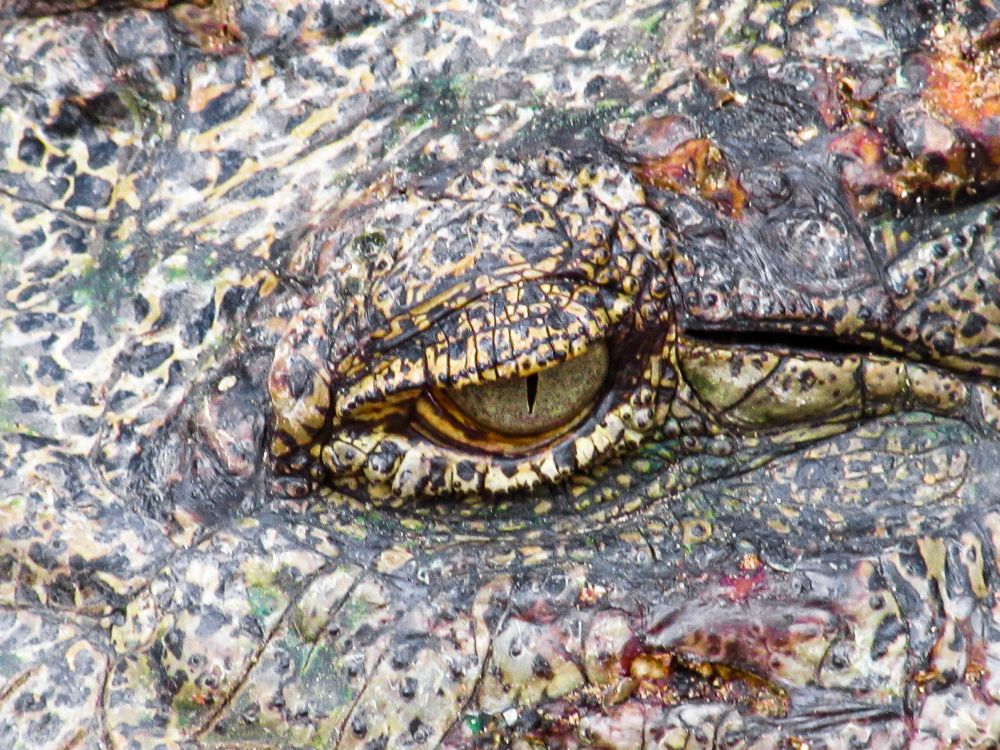 Photograph by Siddhartha Roy Choudhury