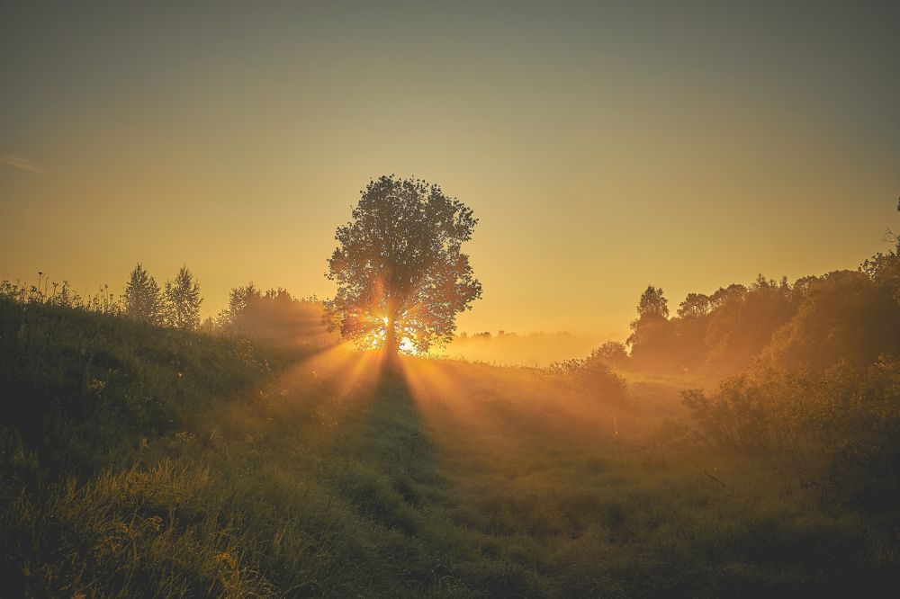 Photograph by Владислав Данилов
