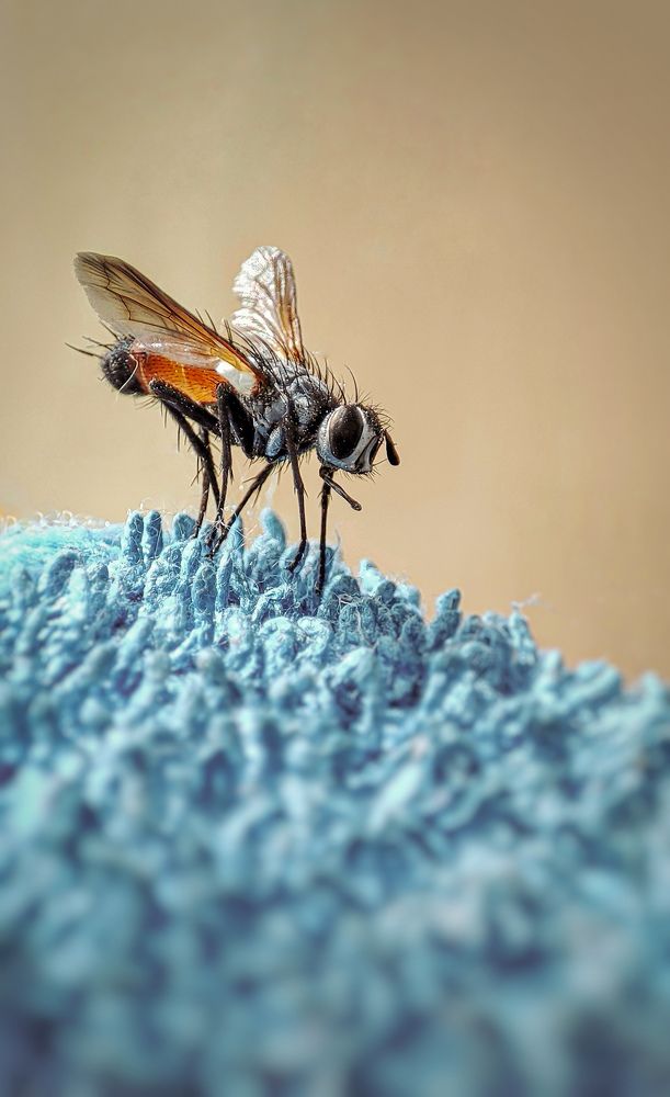 Фотография автора Анастасия Мамаева