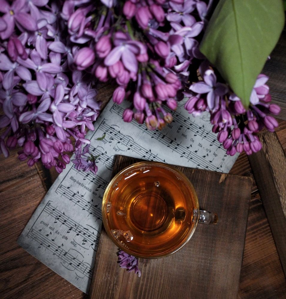 Photograph by Елена Глухарева