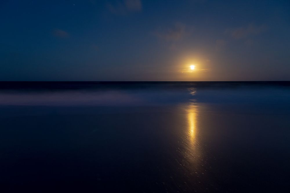 Photograph by Frederico Molini