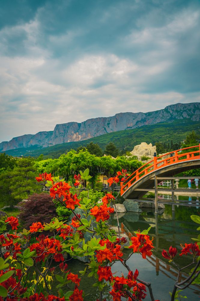 Photograph by Копиёв Виталий