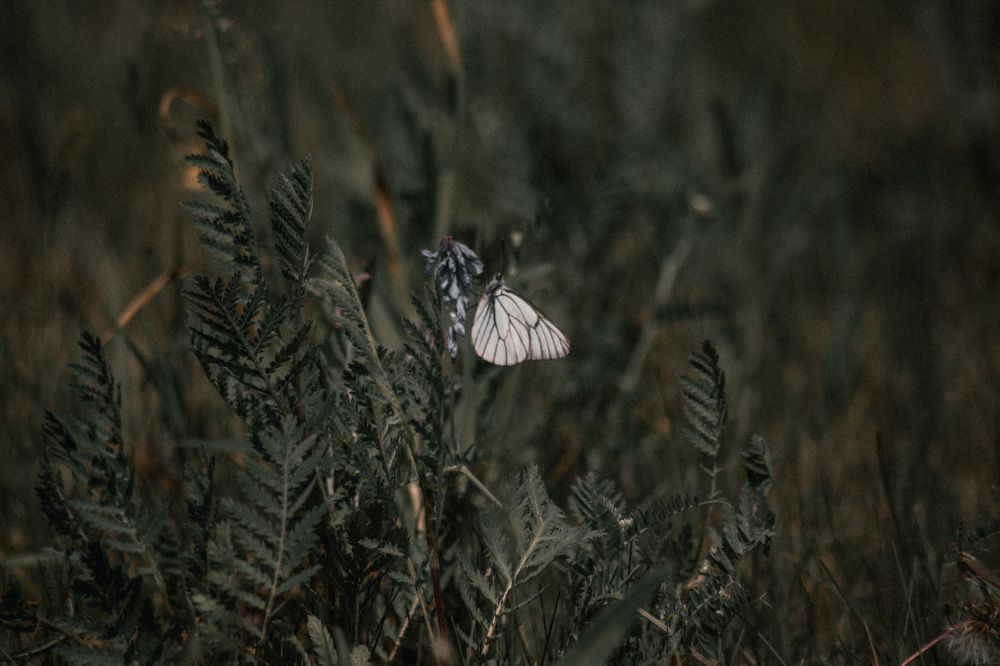 Photograph by Olivka Ulyanova