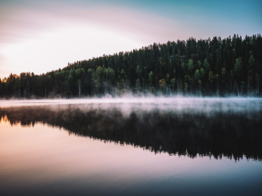 Photograph by Nikolai T