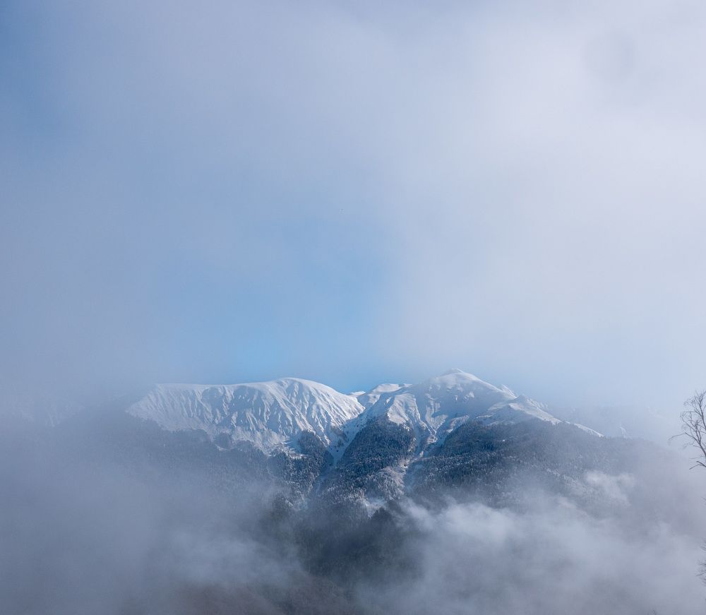 Photograph by Nikolai T