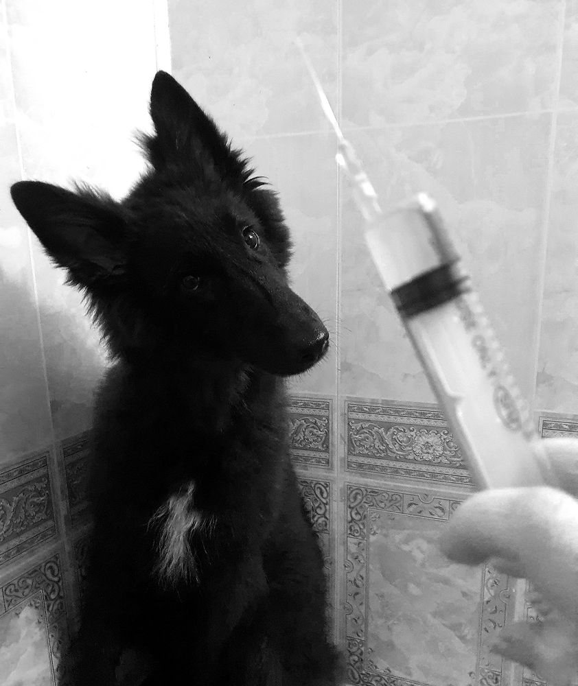 Фотография автора Надежда Лисицына