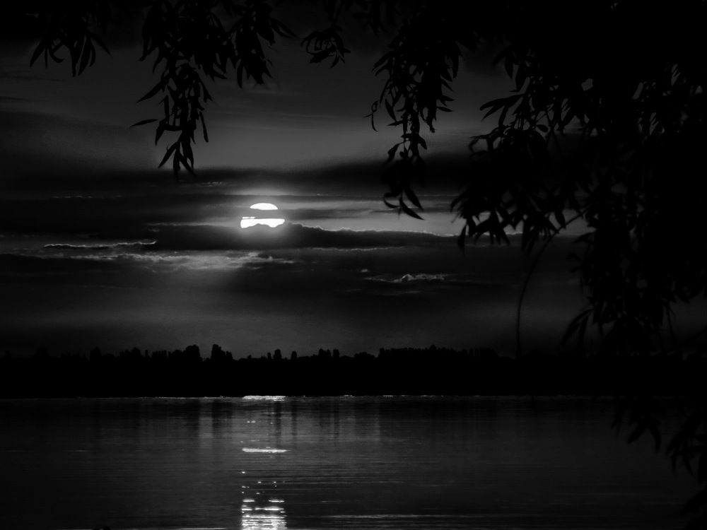 Photograph by Сергей Фунтовой