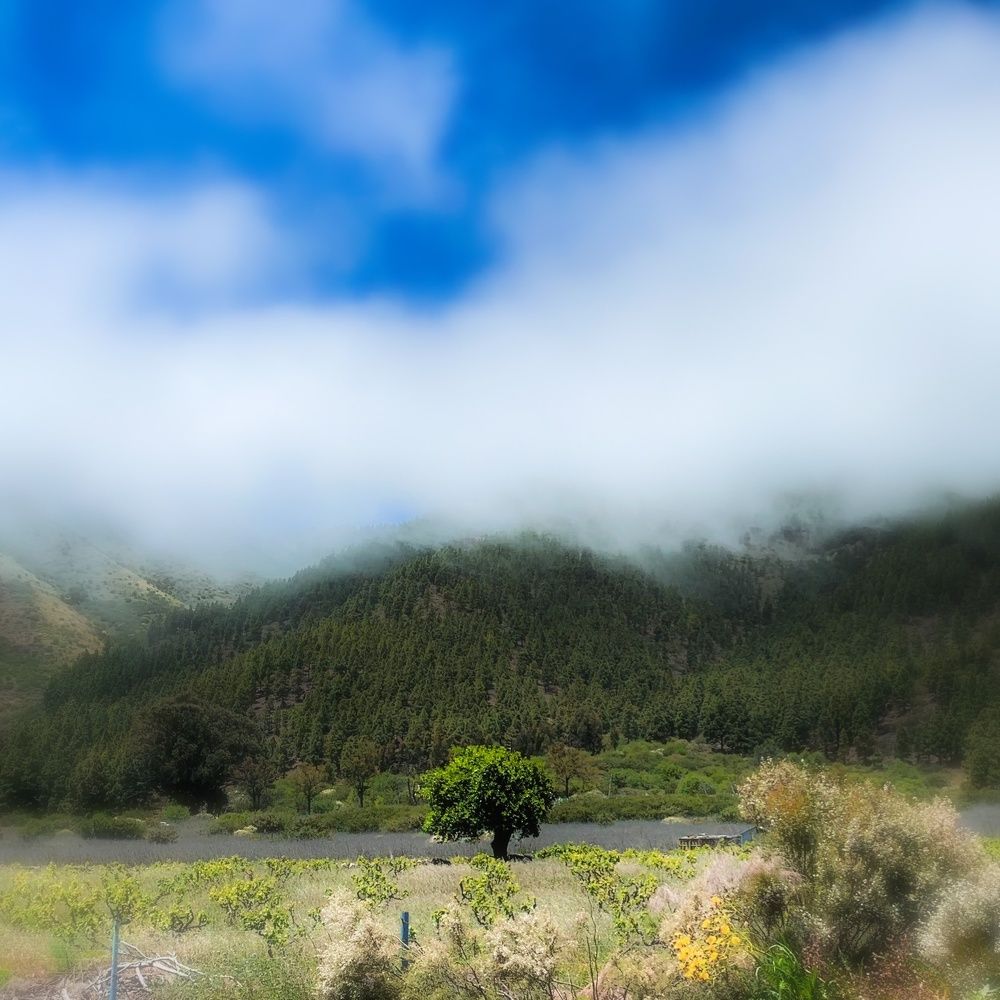 Photograph by Nikolai T