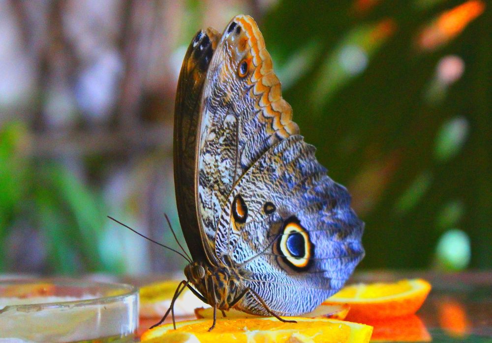 Photograph by салим насыпов