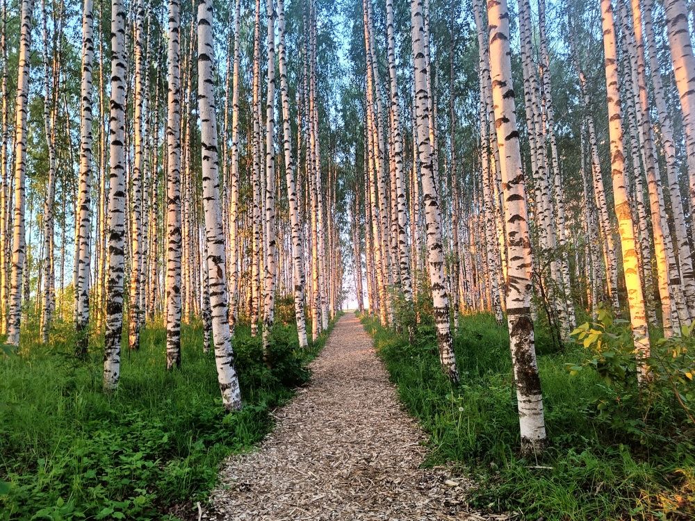 Photograph by Дарья Овчинникова