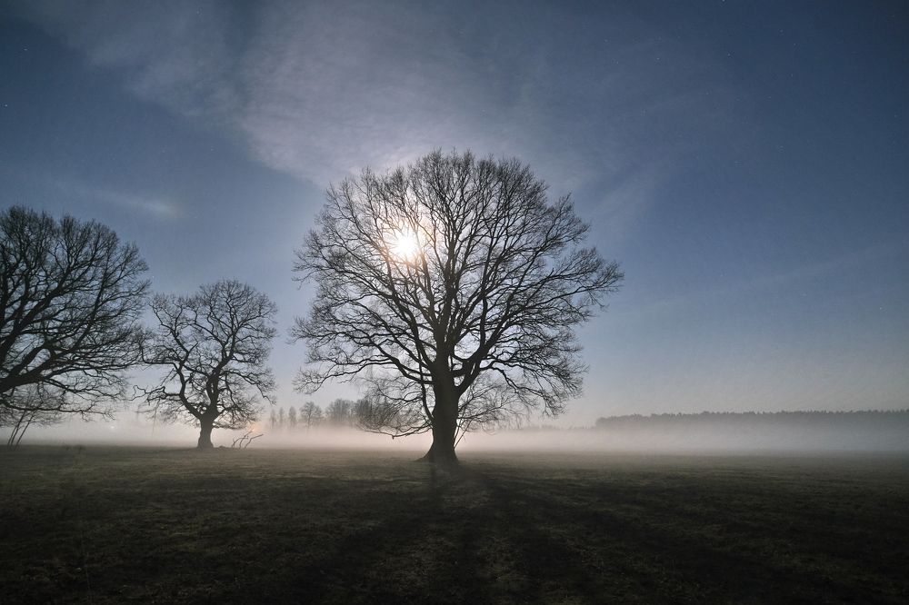 Fog / Latvia, Atari 2023