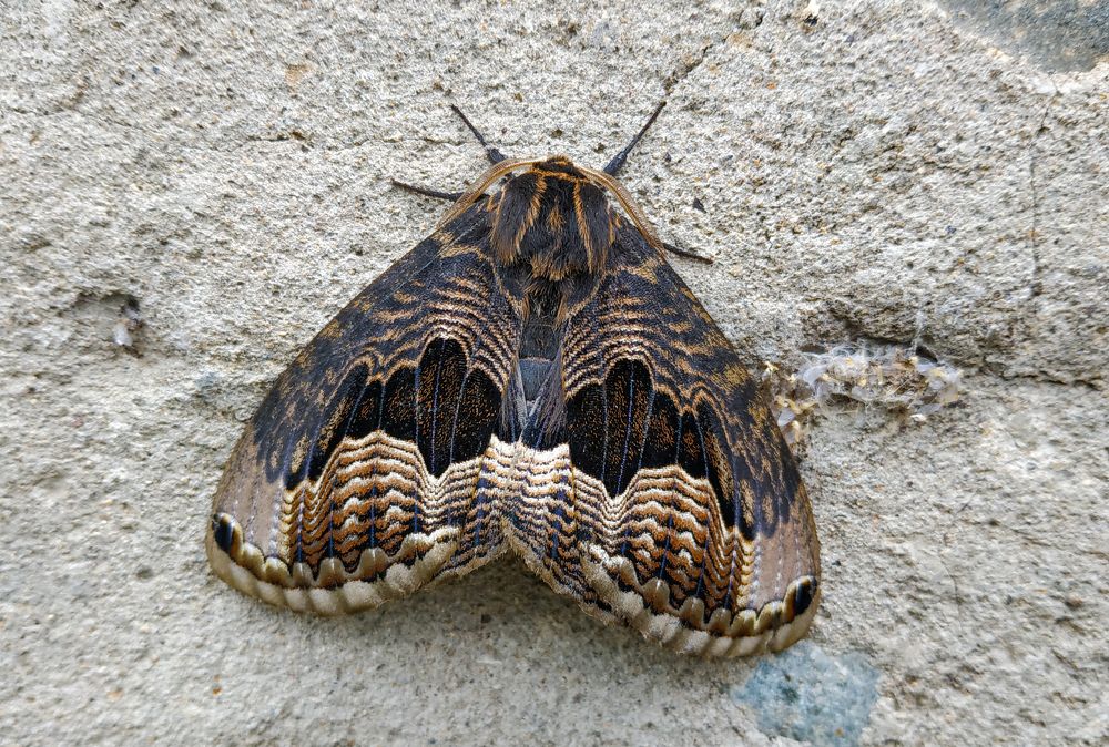 Фотография автора Александр Довганюк