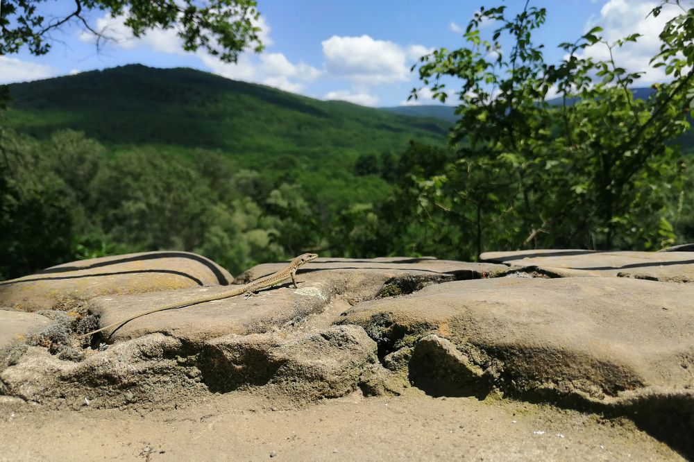 Photograph by Ольга Сельницына