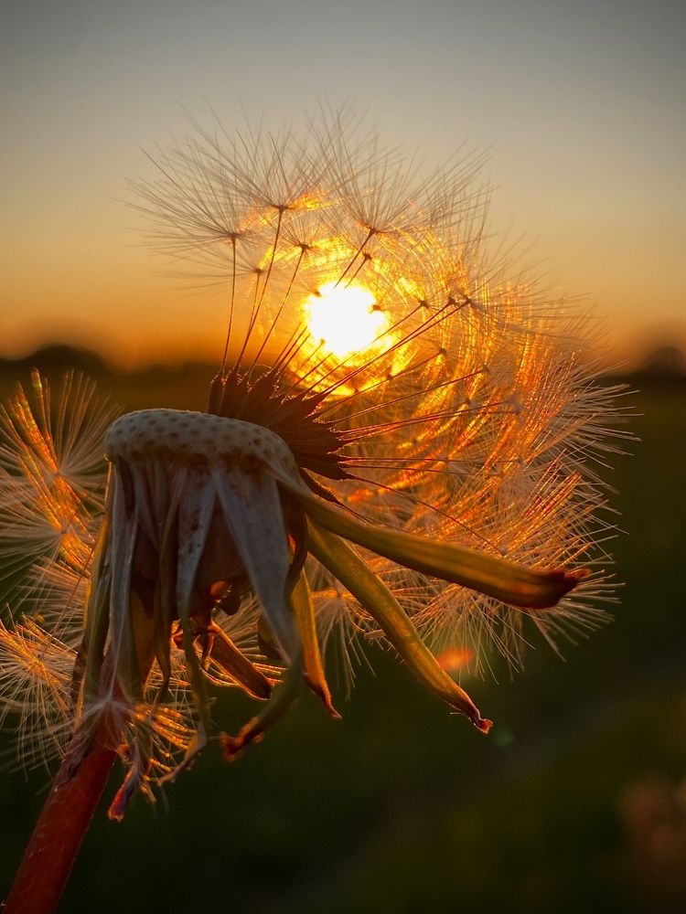 Photograph by Анна Зернова