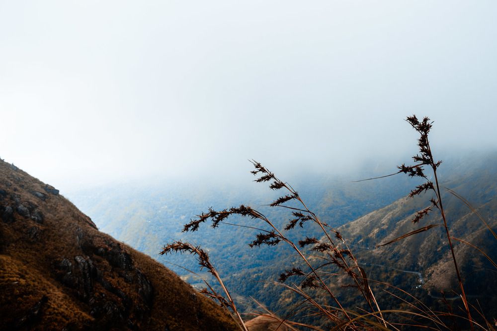 Photograph by Thusitha Dananjaya