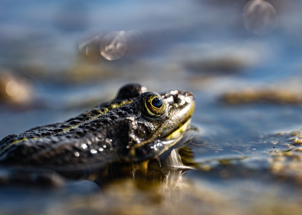 Photograph by Владимир Коновалов
