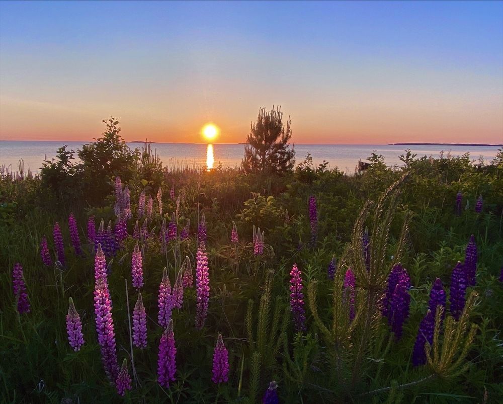 Photograph by Janina Segeda