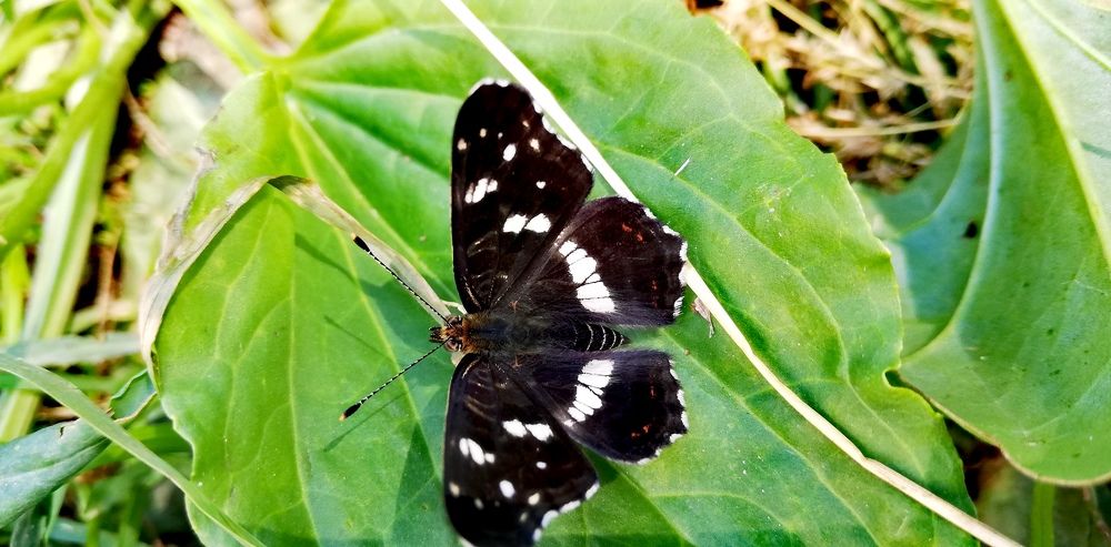 Photograph by Лариса Неудачина